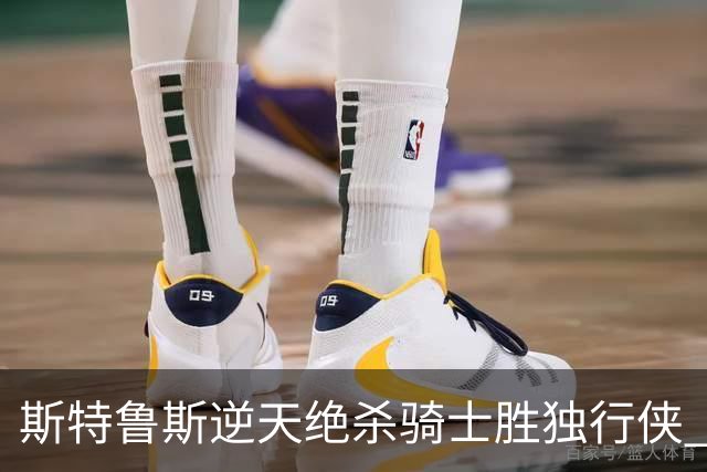 斯特鲁斯逆天绝杀骑士胜独行侠 魔术大胜篮网