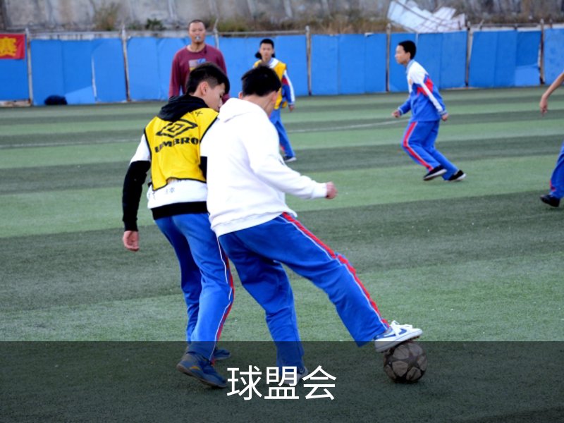 关于球盟会